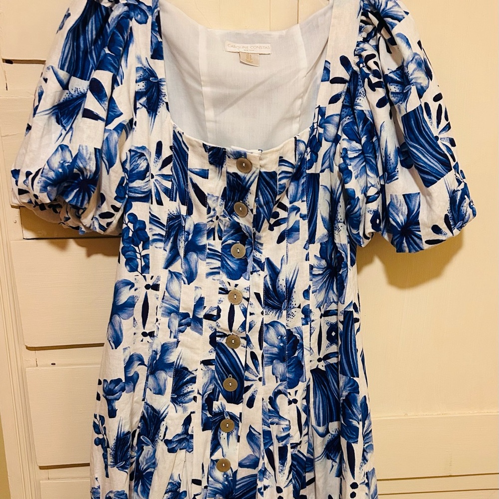 Caroline Constas White and Blue Floral Dress